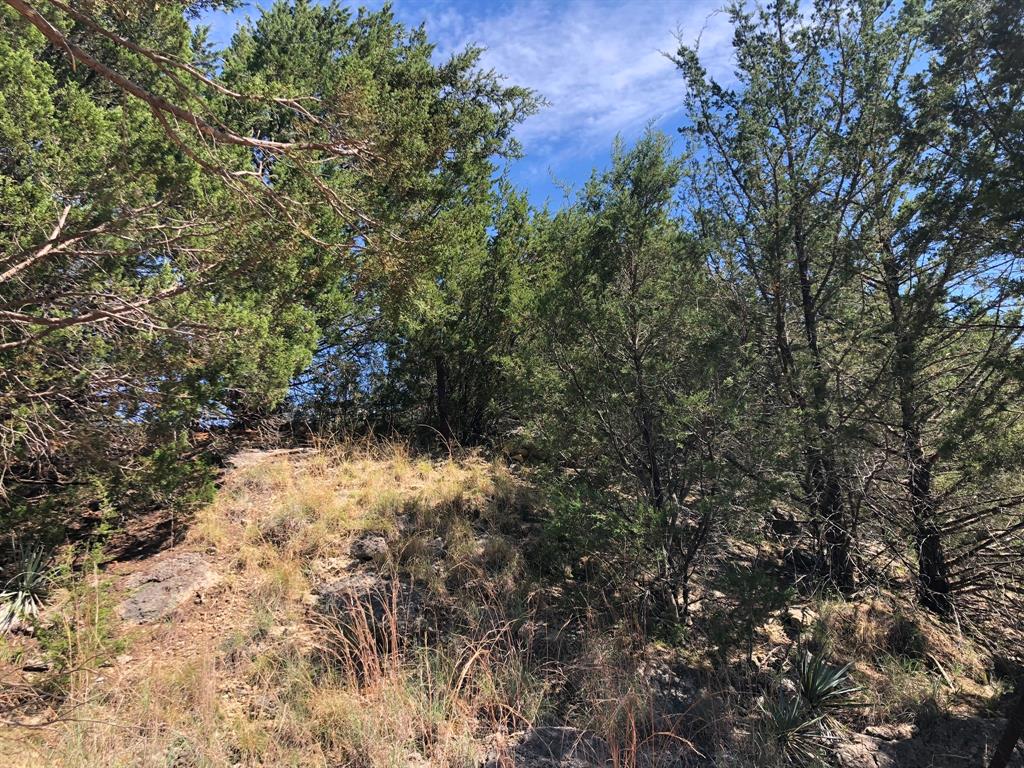 1408 Robyn Road Azle, TX 76020 - Photo 2 of 34 a view of a forest in the forest