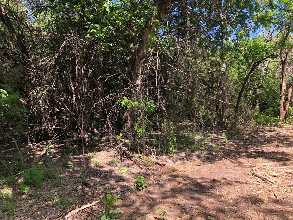 1408 Robyn Road Azle, TX 76020 - Photo 22 of 34 a backyard of a house