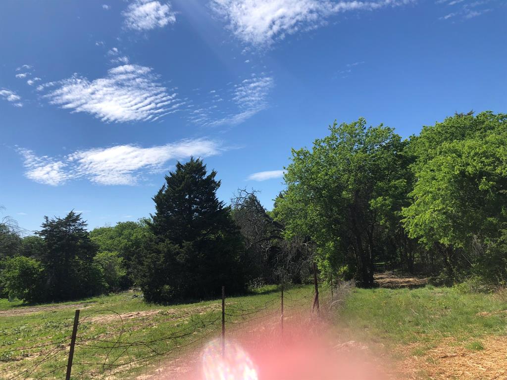 1408 Robyn Road Azle, TX 76020 - Photo 27 of 34 a view of a yard with large trees