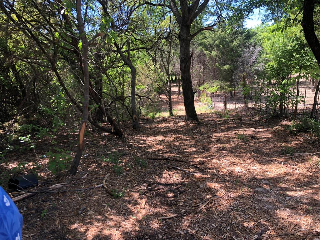 1408 Robyn Road Azle, TX 76020 - Photo 5 of 34 a backyard of a house with lots of green space