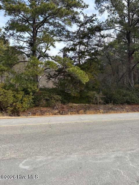 195 Persimmon Road Southwest Calabash, NC 28467 - Photo 27 of 41 IMG_5393