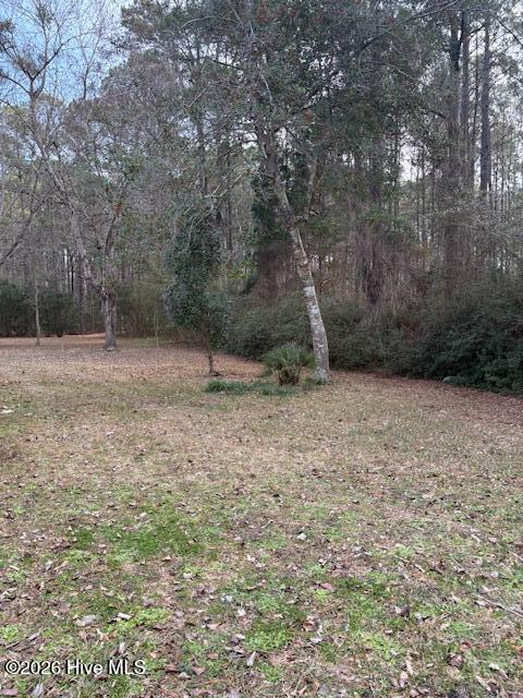 195 Persimmon Road Southwest Calabash, NC 28467 - Photo 29 of 41 IMG_5348