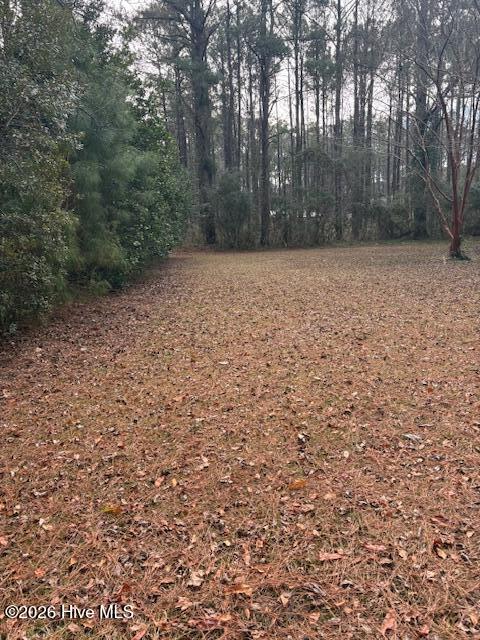 195 Persimmon Road Southwest Calabash, NC 28467 - Photo 32 of 41 IMG_5351