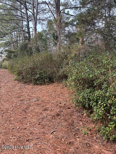 195 Persimmon Road Southwest Calabash, NC 28467 - Photo 33 of 41 IMG_5352