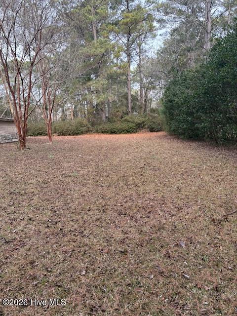 195 Persimmon Road Southwest Calabash, NC 28467 - Photo 35 of 41 IMG_5354