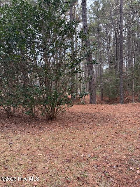 195 Persimmon Road Southwest Calabash, NC 28467 - Photo 36 of 41 IMG_5355