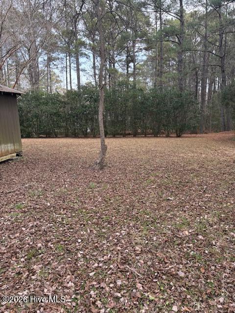 195 Persimmon Road Southwest Calabash, NC 28467 - Photo 39 of 41 IMG_5359