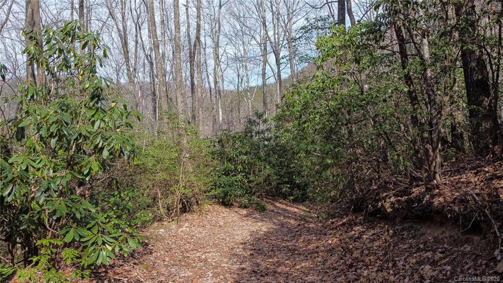 0 Tower Road, Unit LOT 7 Sapphire, NC 28774 - Photo 11 of 33 Gallery Image 11