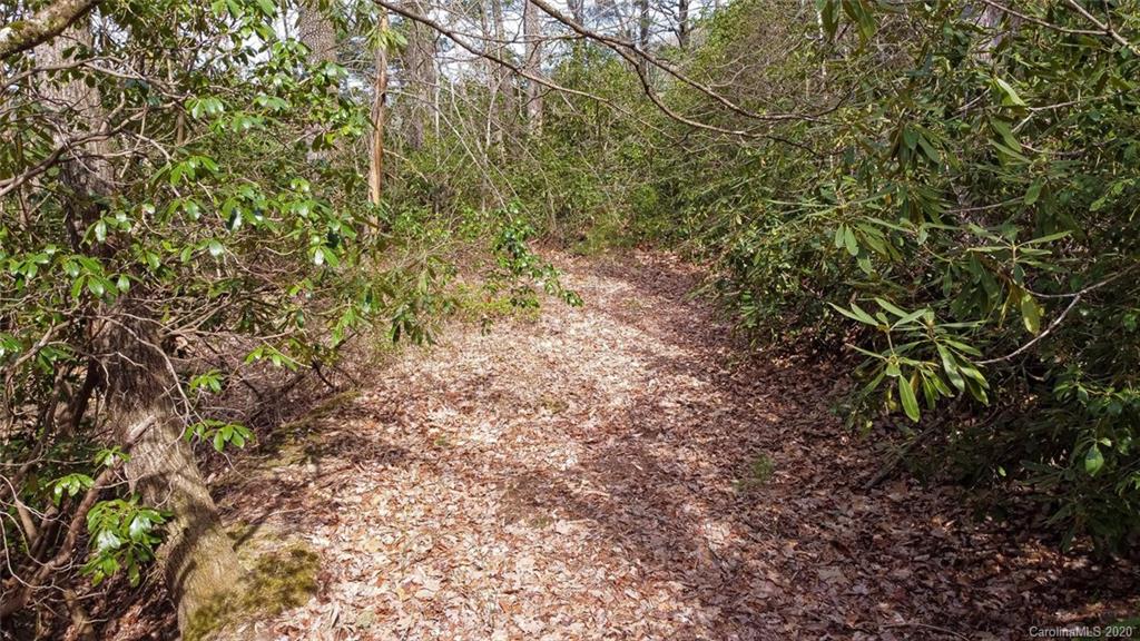 0 Tower Road, Unit LOT 7 Sapphire, NC 28774 - Photo 14 of 33 Gallery Image 14