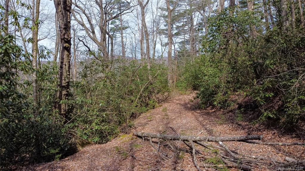 0 Tower Road, Unit LOT 7 Sapphire, NC 28774 - Photo 15 of 33 Gallery Image 15