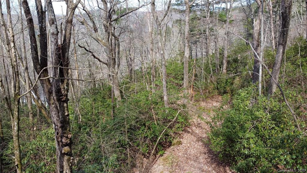 0 Tower Road, Unit LOT 7 Sapphire, NC 28774 - Photo 16 of 33 Gallery Image 16