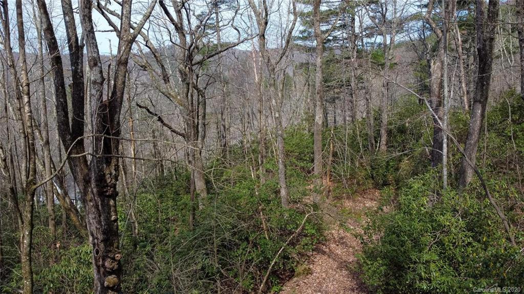 0 Tower Road, Unit LOT 7 Sapphire, NC 28774 - Photo 17 of 33 Gallery Image 17