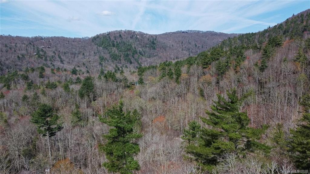 0 Tower Road, Unit LOT 7 Sapphire, NC 28774 - Photo 18 of 33 Gallery Image 18
