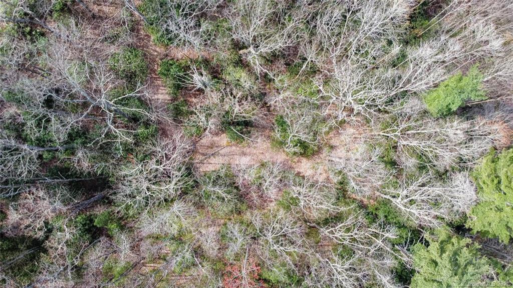 0 Tower Road, Unit LOT 7 Sapphire, NC 28774 - Photo 21 of 33 Gallery Image 21