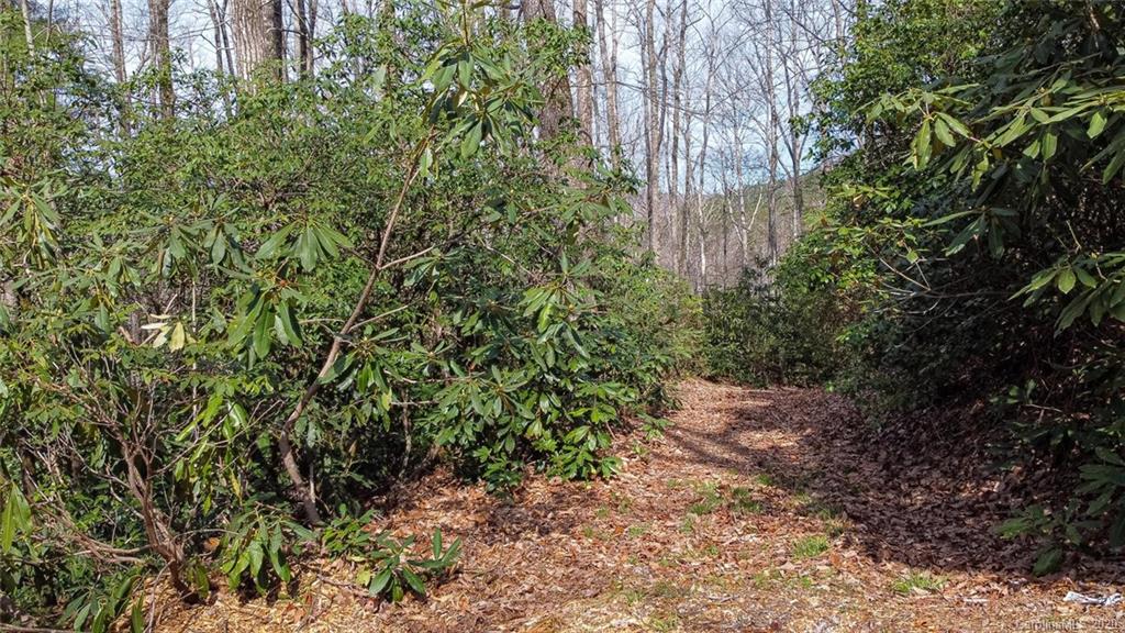 0 Tower Road, Unit LOT 7 Sapphire, NC 28774 - Photo 10 of 33 Gallery Image 10