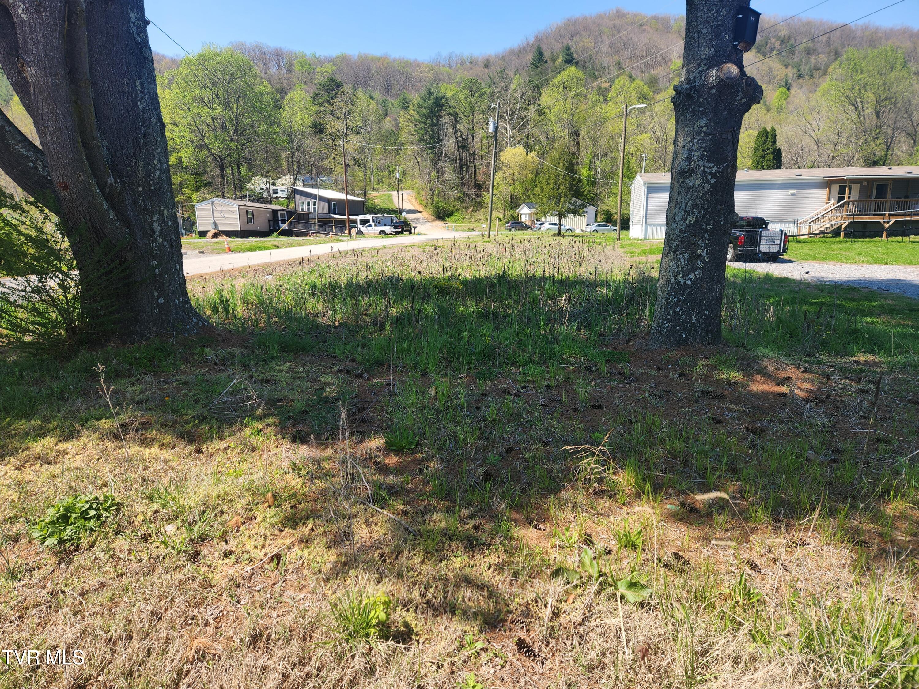 175 Bumpus Cove Road Erwin, TN 37650 - Photo 2 of 4 20260407_143642