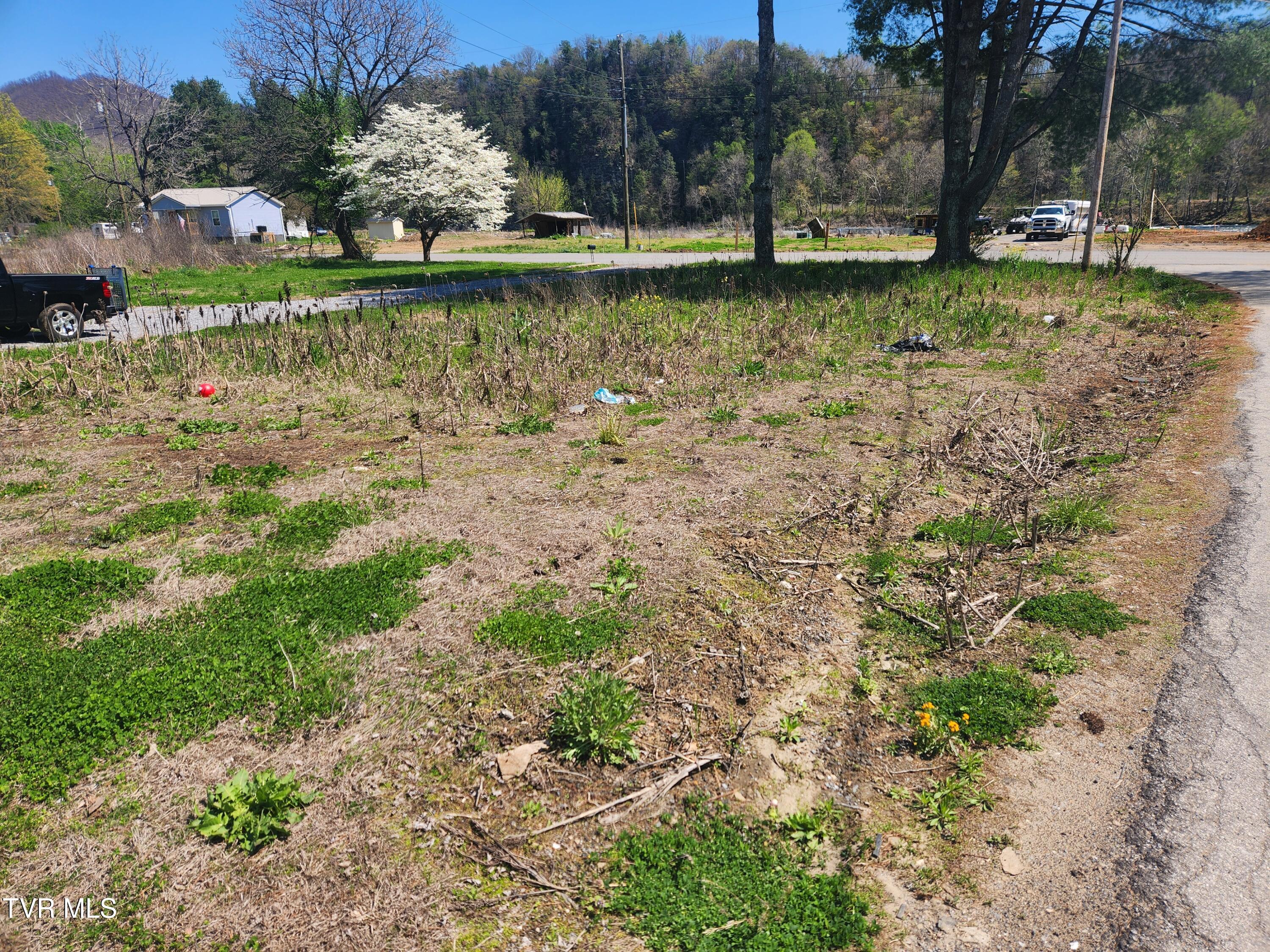 175 Bumpus Cove Road Erwin, TN 37650 - Photo 4 of 4 20260407_143735