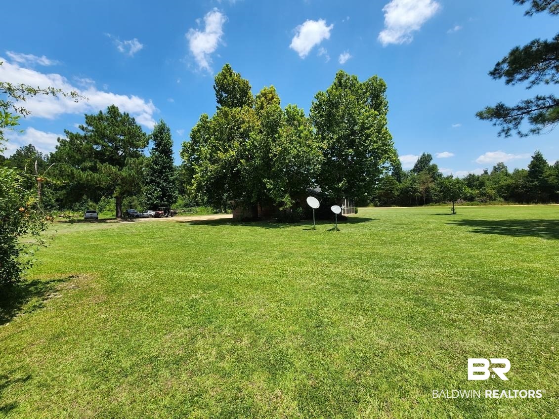 640 Horseshoe Road Brewton, AL 36426 - Photo 5 of 22 View of yard