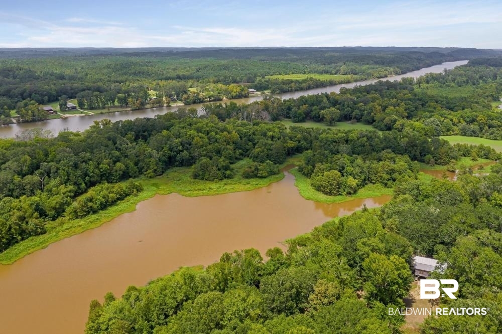 533 Country Road Coffeeville, AL 36524 - Photo 4 of 50