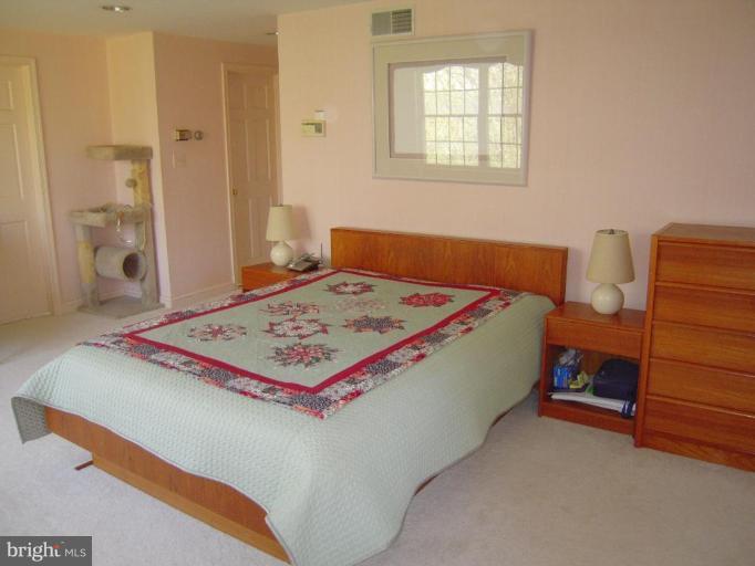 6808 New Cut Road Kingsville, MD 21087 - Photo 17 of 30 Master Bedroom