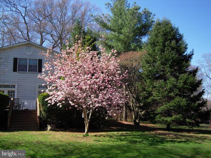 6808 New Cut Road Kingsville, MD 21087 - Photo 25 of 30 Exterior (Rear)