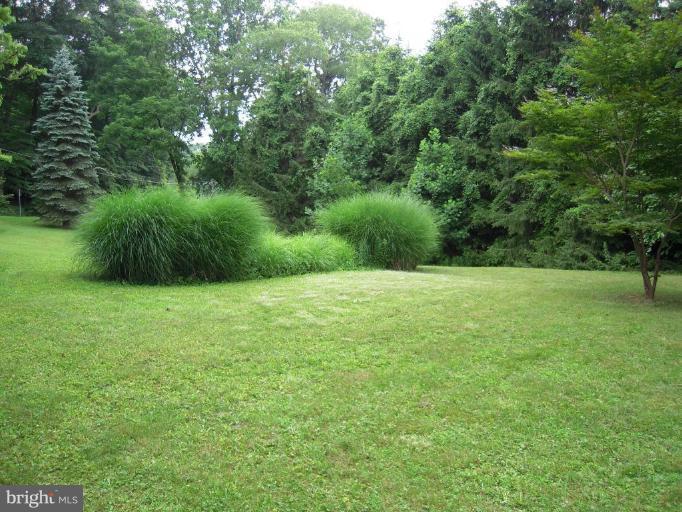6808 New Cut Road Kingsville, MD 21087 - Photo 29 of 30 Garden #2