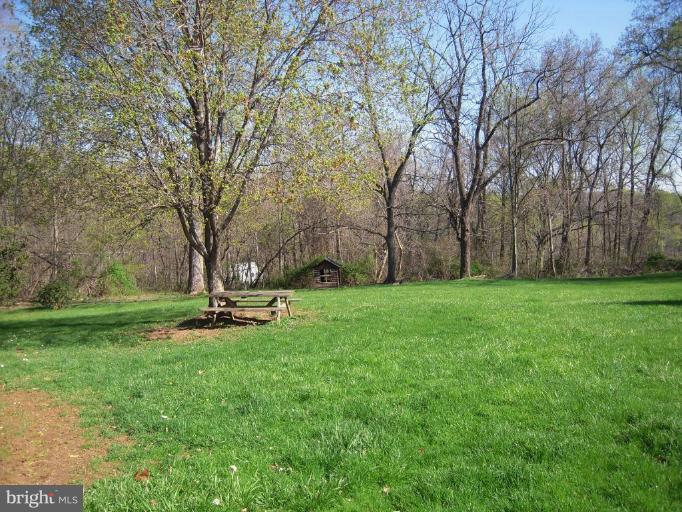 6808 New Cut Road Kingsville, MD 21087 - Photo 4 of 30 Back yard