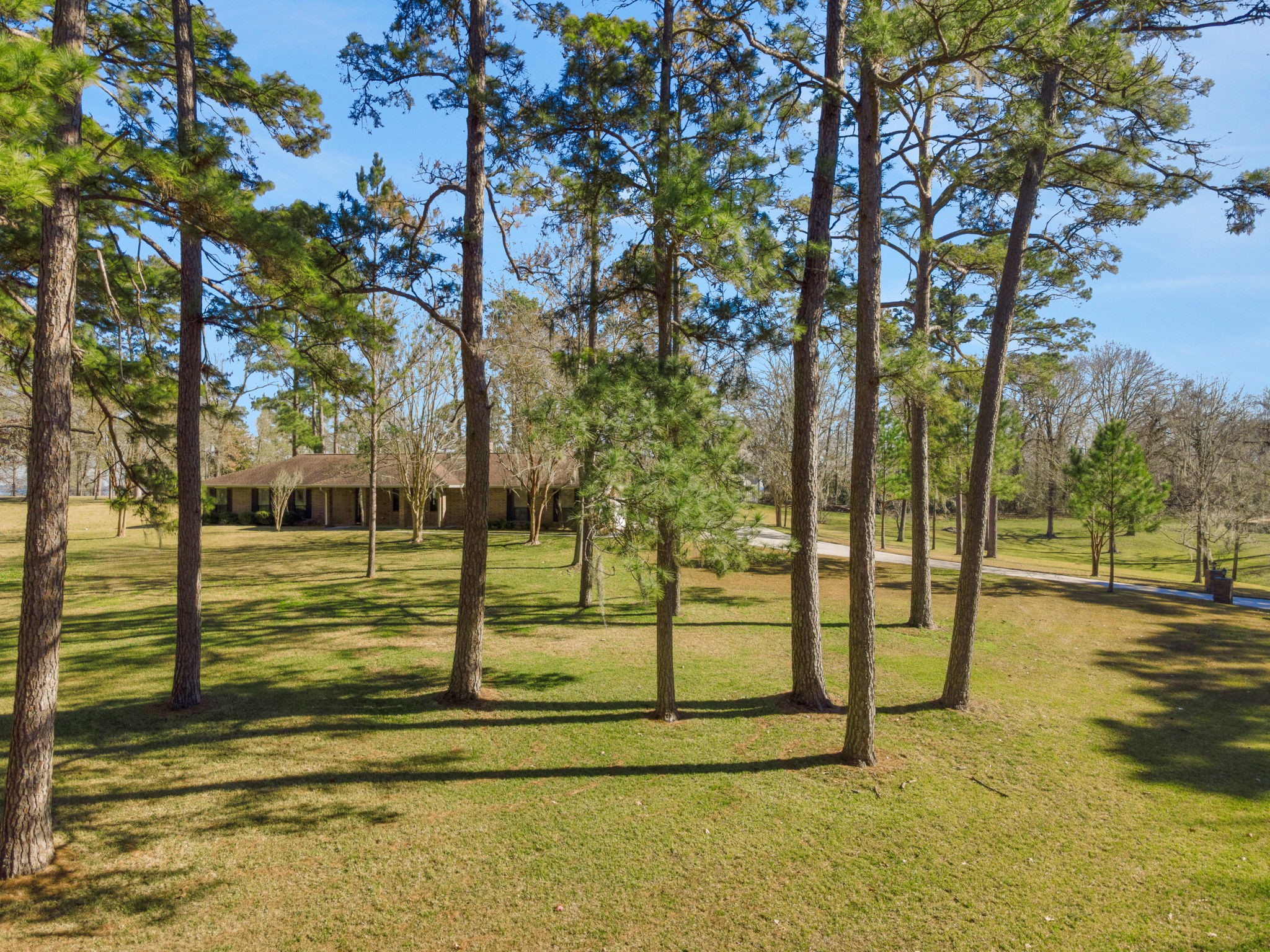 41 Holly Glen Point Blank, TX 77364 - Photo 4 of 35 a view of a garden with trees