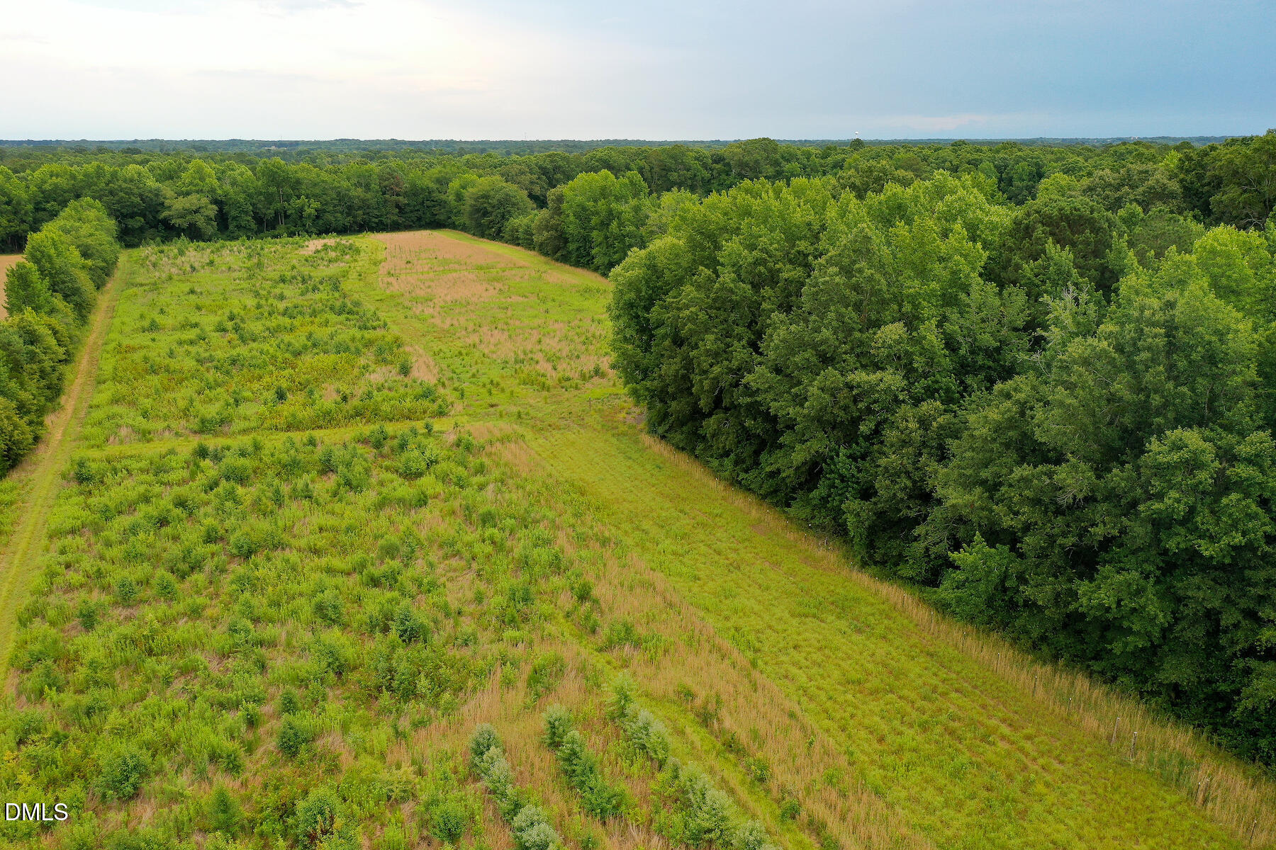 19.2-acres Bunnlevel Erwin Road Erwin, NC 28339 - Photo 24 of 34 24 Paras 19.3 Acres Bunnlevel Erwin Rd