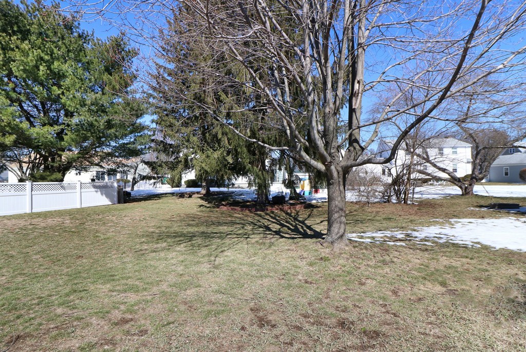 31 Riverdale Road Dedham, MA 02026 - Photo 20 of 21 Gallery Image 20
