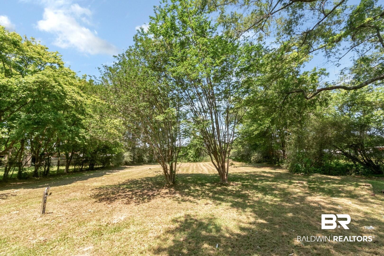 5650 Alice Drive Theodore, AL 36582 - Photo 15 of 15 View of yard