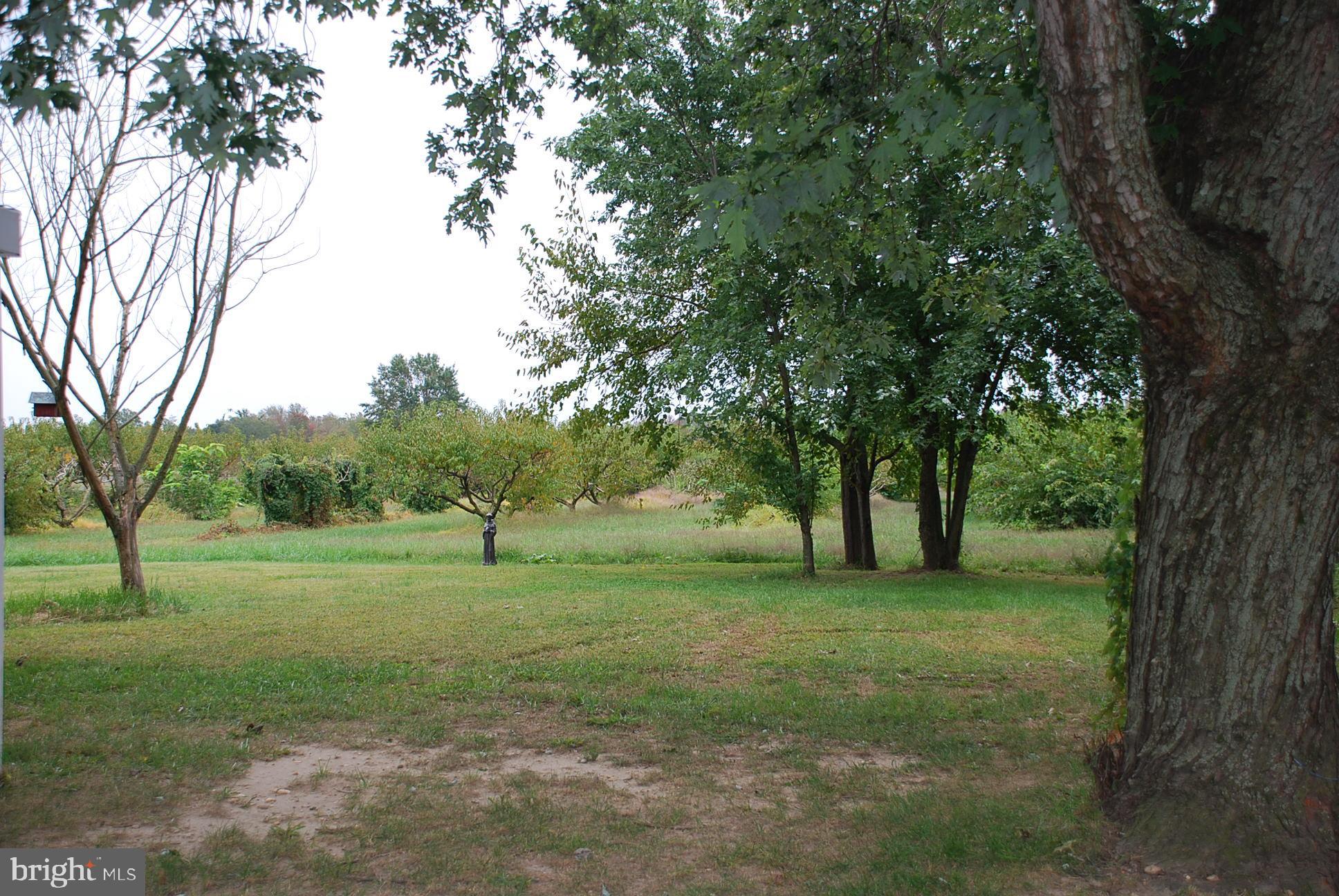 556 Spring Road Hammonton, NJ 08037 - Photo 23 of 24 Gallery Image 23
