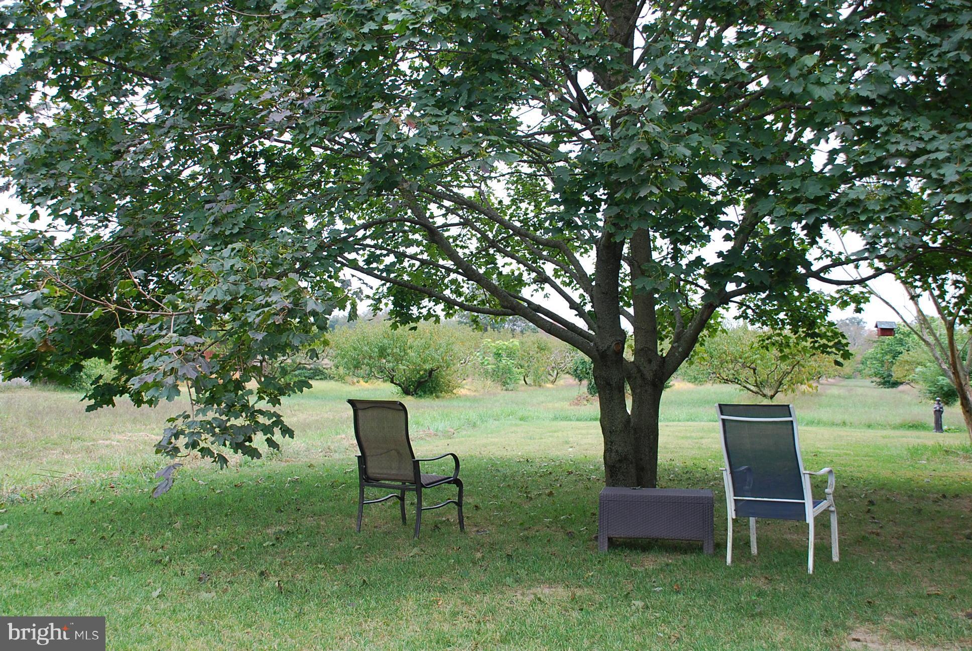 556 Spring Road Hammonton, NJ 08037 - Photo 24 of 24 Gallery Image 24