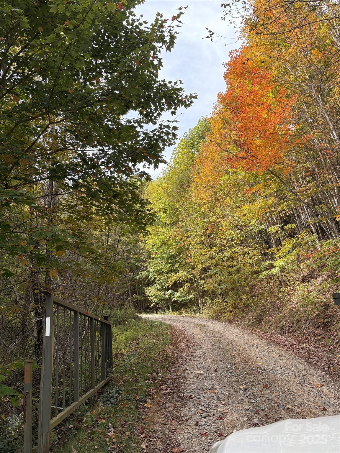 2 Turkey Trot Road Clyde, NC 28721 - Photo 11 of 48 a view of a yard with an trees