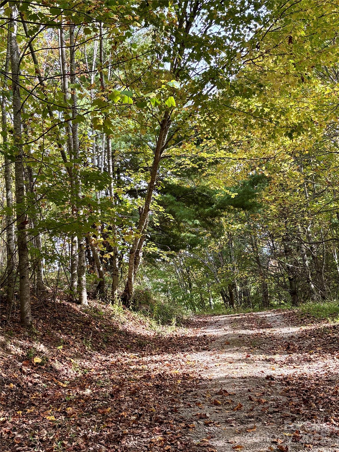 2 Turkey Trot Road Clyde, NC 28721 - Photo 14 of 48 a view of road and trees