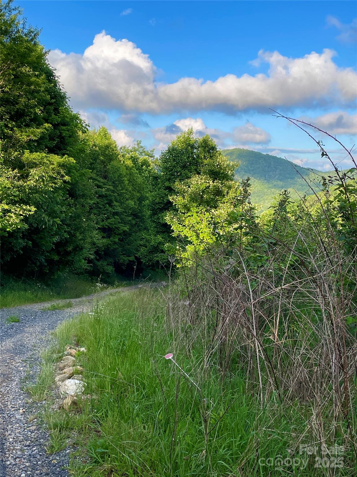 2 Turkey Trot Road Clyde, NC 28721 - Photo 15 of 48 a view of a garden