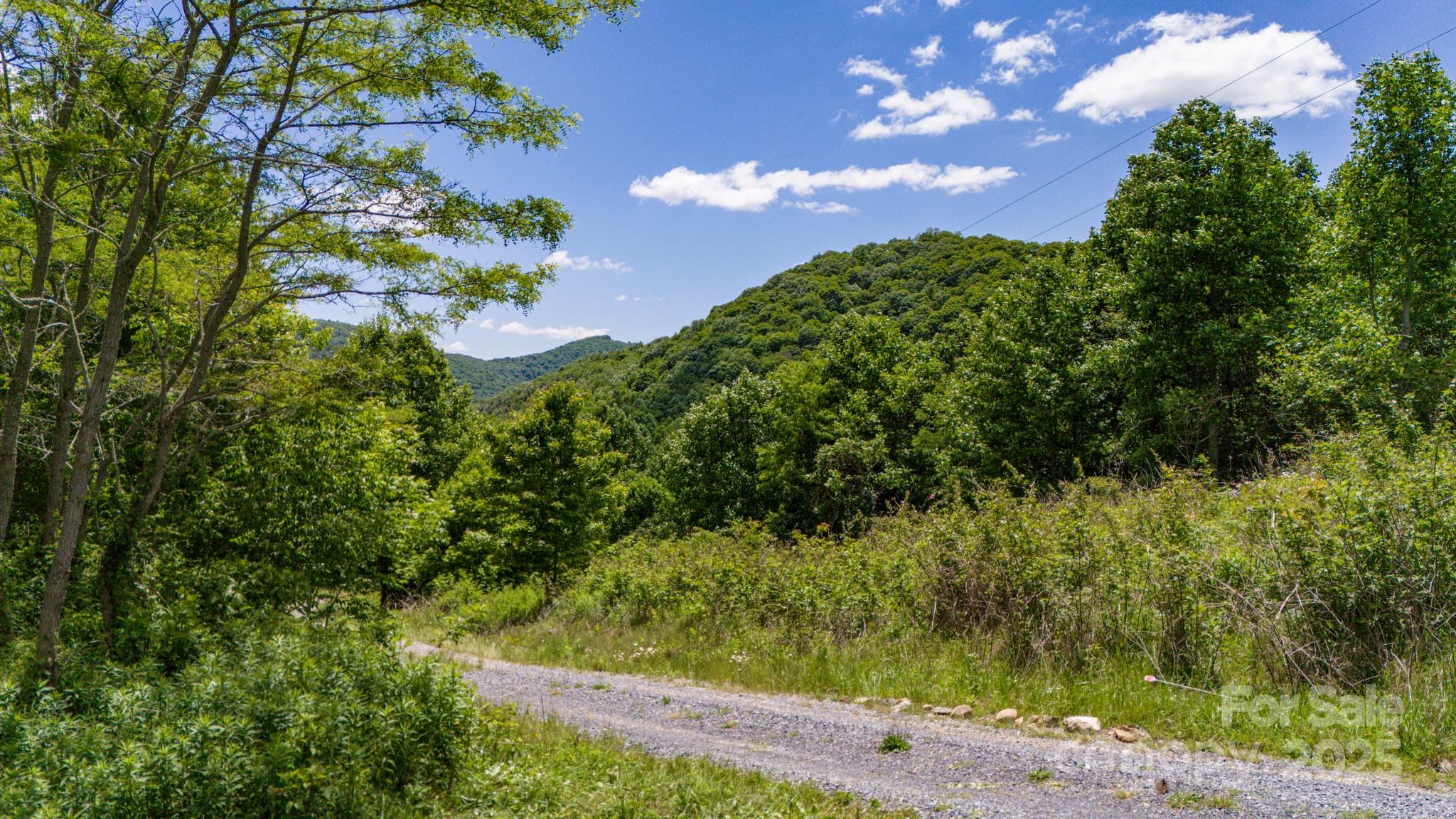 2 Turkey Trot Road Clyde, NC 28721 - Photo 16 of 48 a view of a garden