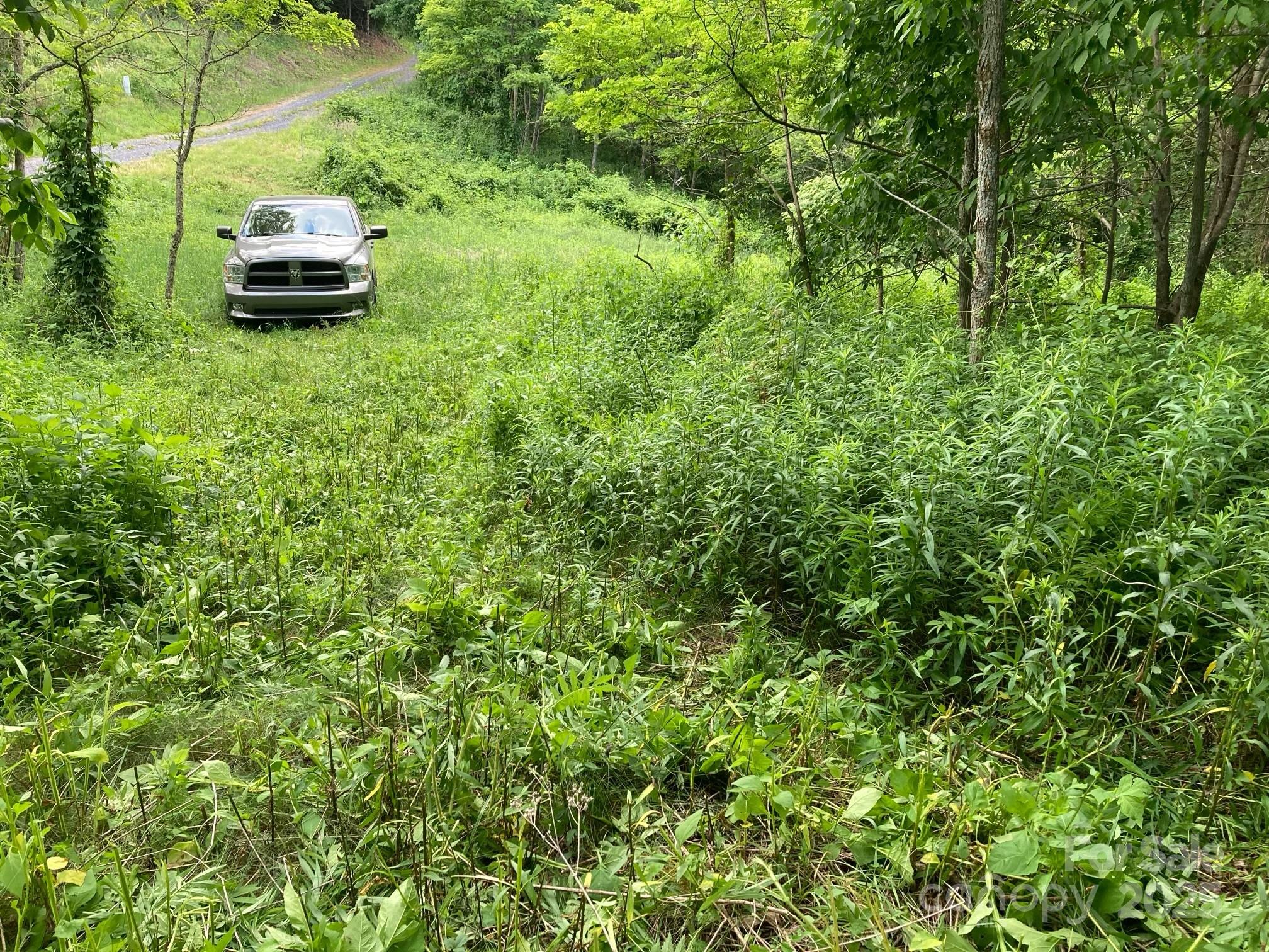 2 Turkey Trot Road Clyde, NC 28721 - Photo 20 of 48