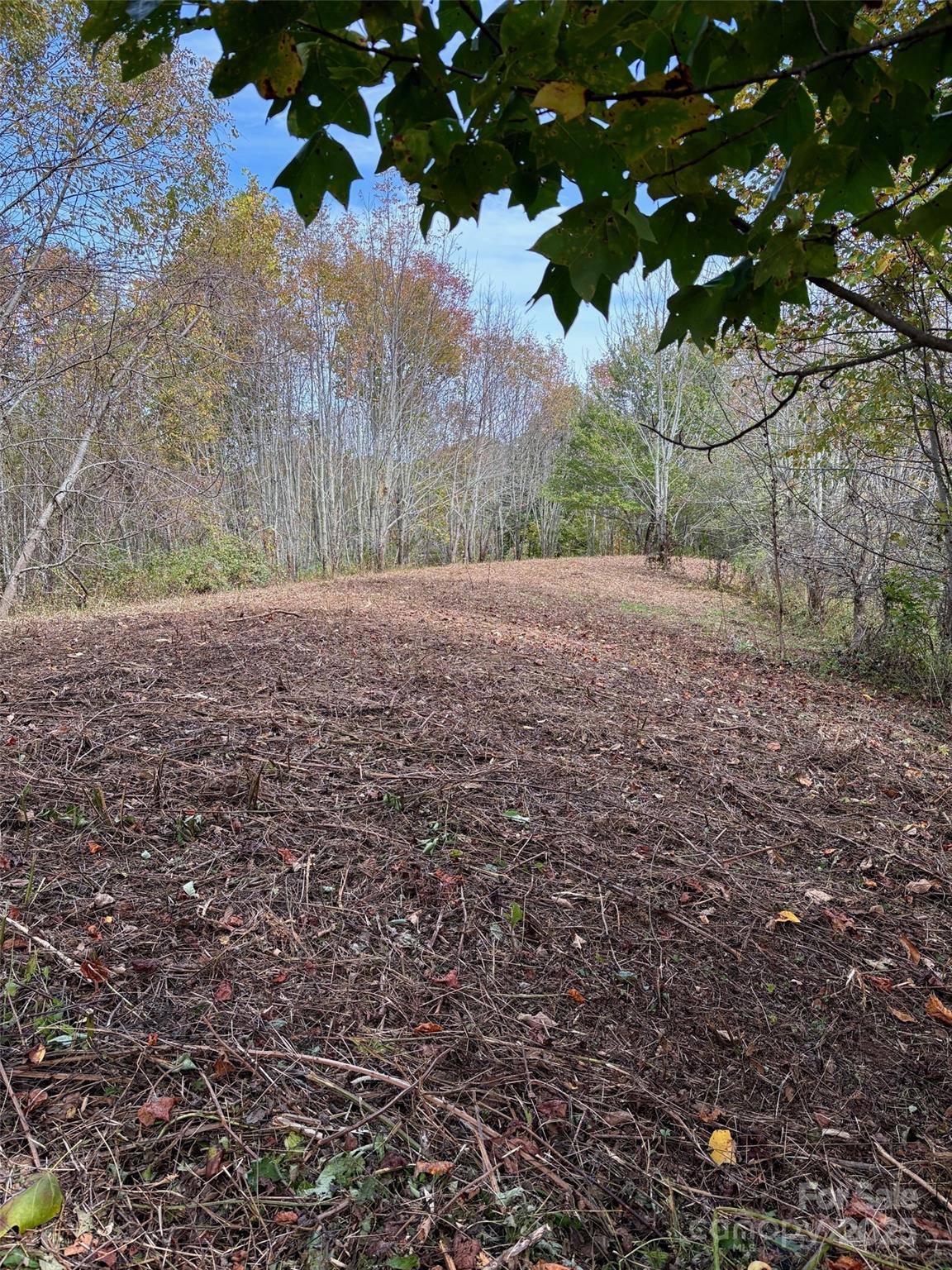2 Turkey Trot Road Clyde, NC 28721 - Photo 22 of 48 a view of a yard with a tree
