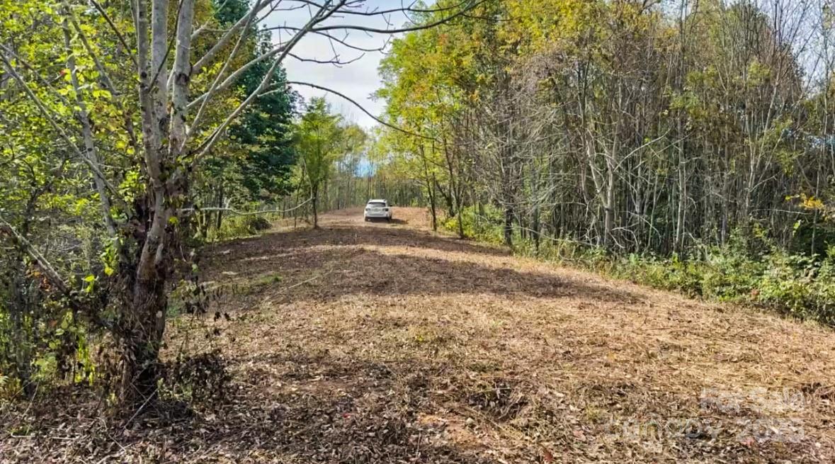 2 Turkey Trot Road Clyde, NC 28721 - Photo 24 of 48 a view of a yard with plants and trees