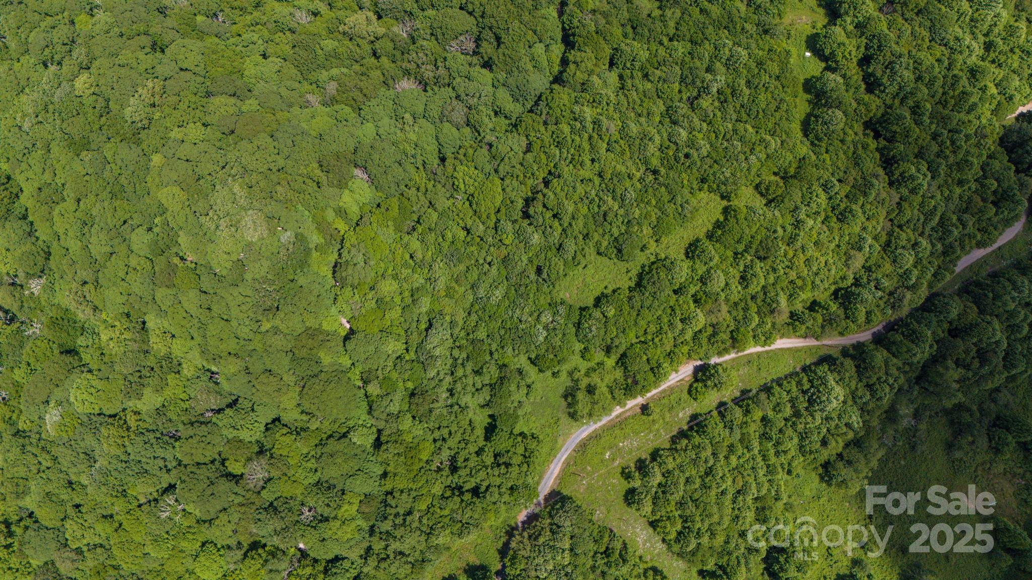 2 Turkey Trot Road Clyde, NC 28721 - Photo 27 of 48