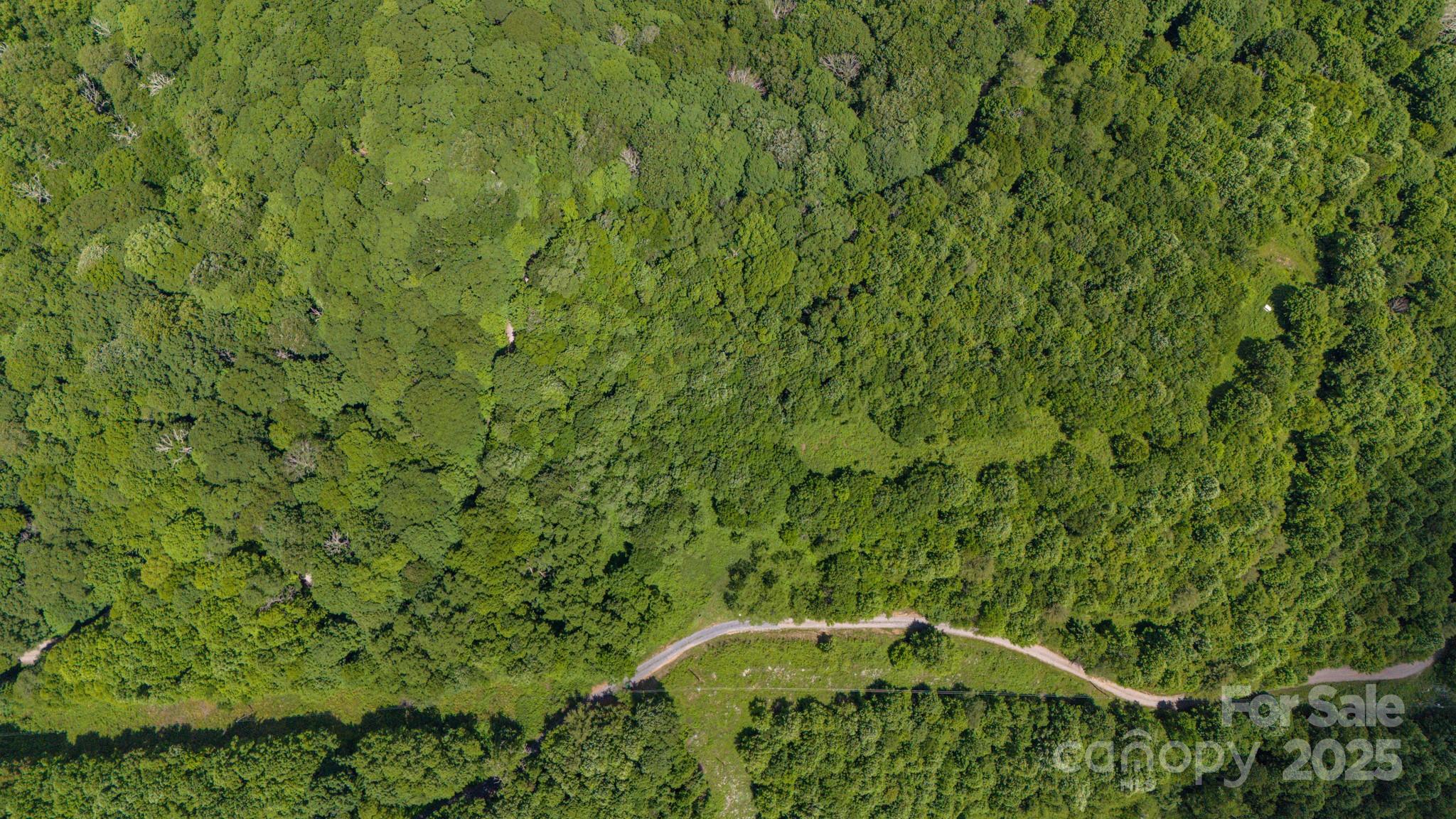 2 Turkey Trot Road Clyde, NC 28721 - Photo 28 of 48 a view of a back yard