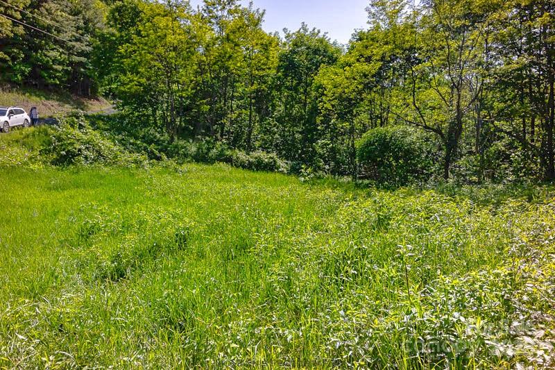 2 Turkey Trot Road Clyde, NC 28721 - Photo 30 of 48