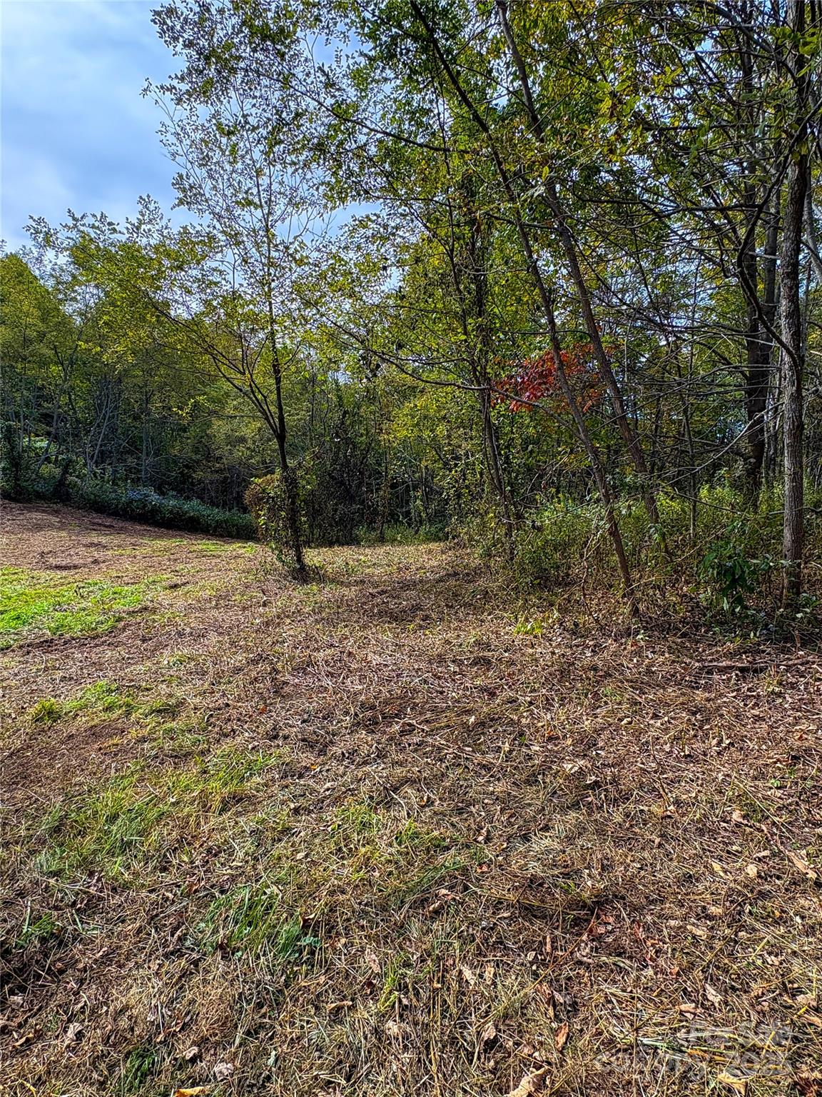 2 Turkey Trot Road Clyde, NC 28721 - Photo 3 of 48 a fire hydrant in the middle of a field