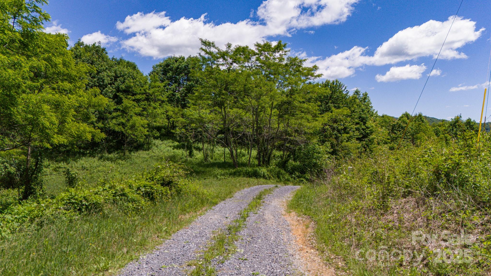 2 Turkey Trot Road Clyde, NC 28721 - Photo 32 of 48 a view of a pathway both side of yard