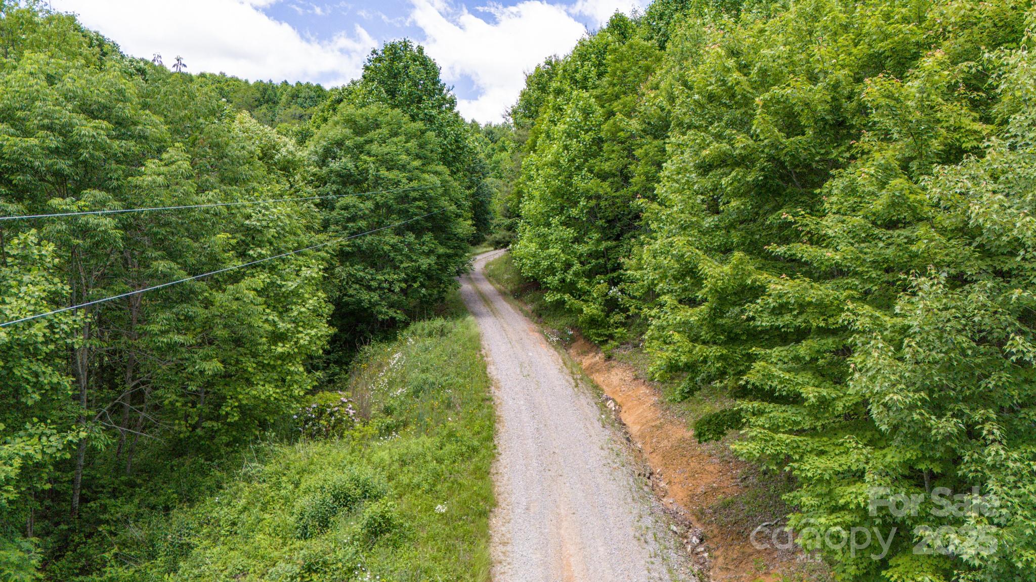 2 Turkey Trot Road Clyde, NC 28721 - Photo 33 of 48 a view of a yard with plants and a small yard