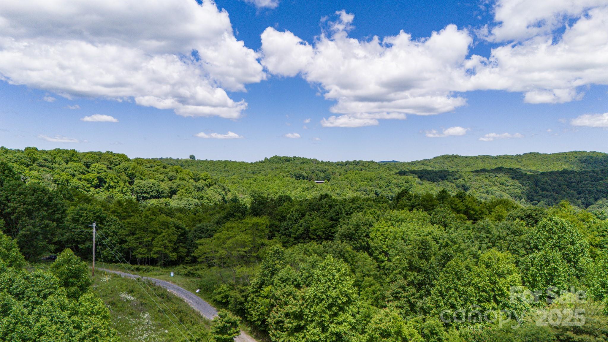 2 Turkey Trot Road Clyde, NC 28721 - Photo 35 of 48 a city view with lot of trees