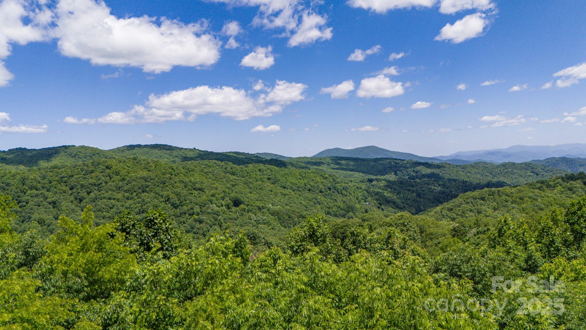 2 Turkey Trot Road Clyde, NC 28721 - Photo 36 of 48 a sunset view