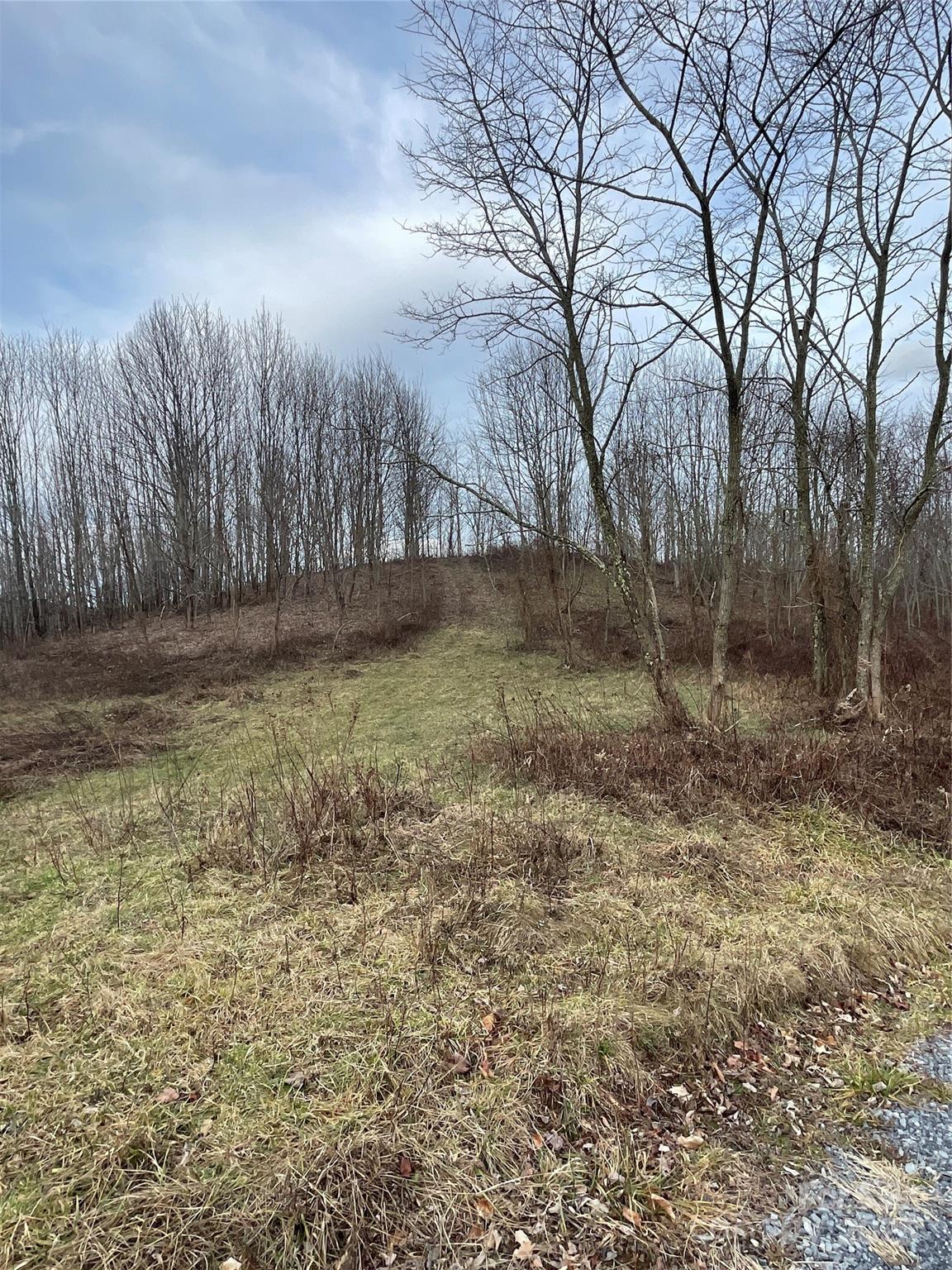 2 Turkey Trot Road Clyde, NC 28721 - Photo 38 of 48 a backyard of a house with lots of green space