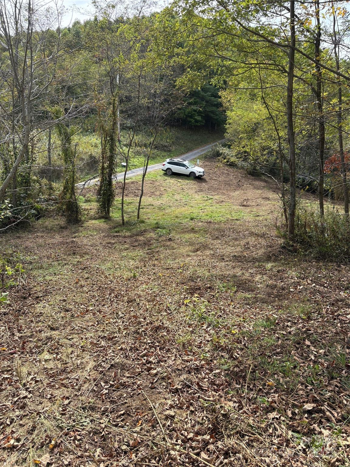 2 Turkey Trot Road Clyde, NC 28721 - Photo 4 of 48 a view of a yard with a tree